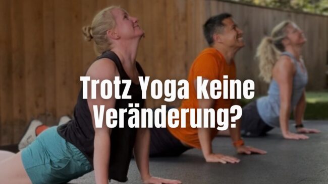 Yoga oder Krafttraining – Training bei BRIZZLY Drei Athleten im Upward Dog beim funktionellen Training bei BRIZZLY in Villach